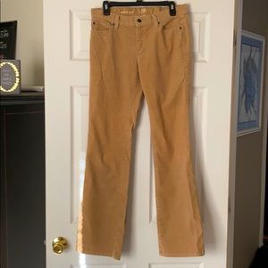 Ann Taylor Loft boot cut cordery jeans